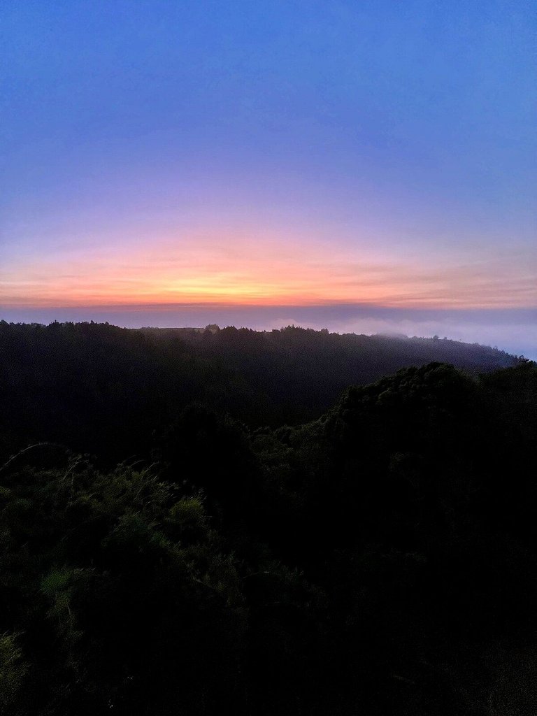 Casa Bosque: Olas de Buchupureo