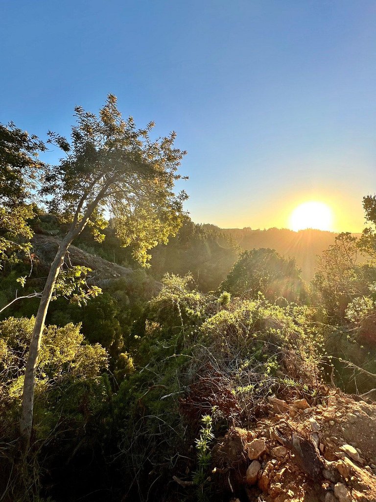 Olas de Buchupureo: con vida de campo
