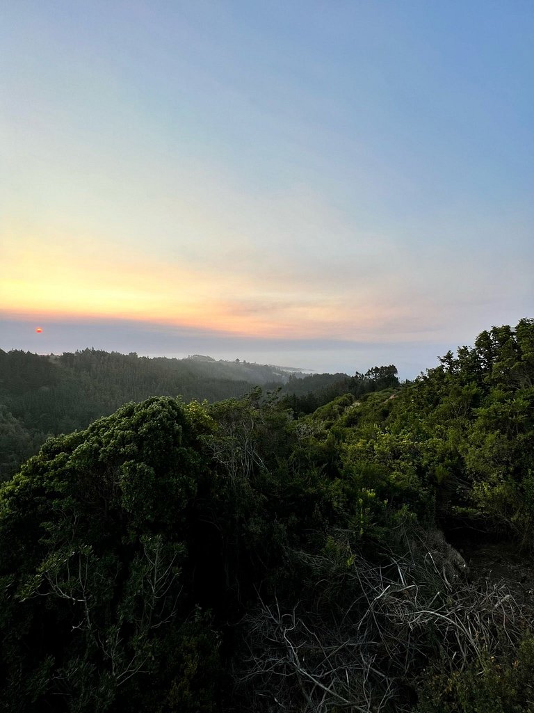Cabaña Bosque, Vista Increíble, Tinaja, Starlink