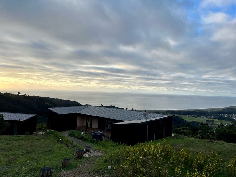 Olas de Buchupureo: con vida de campo