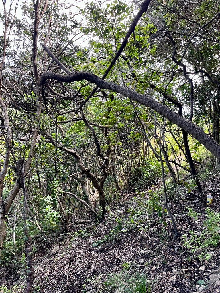 Cabaña Bosque, Vista Increíble, Tinaja, Starlink