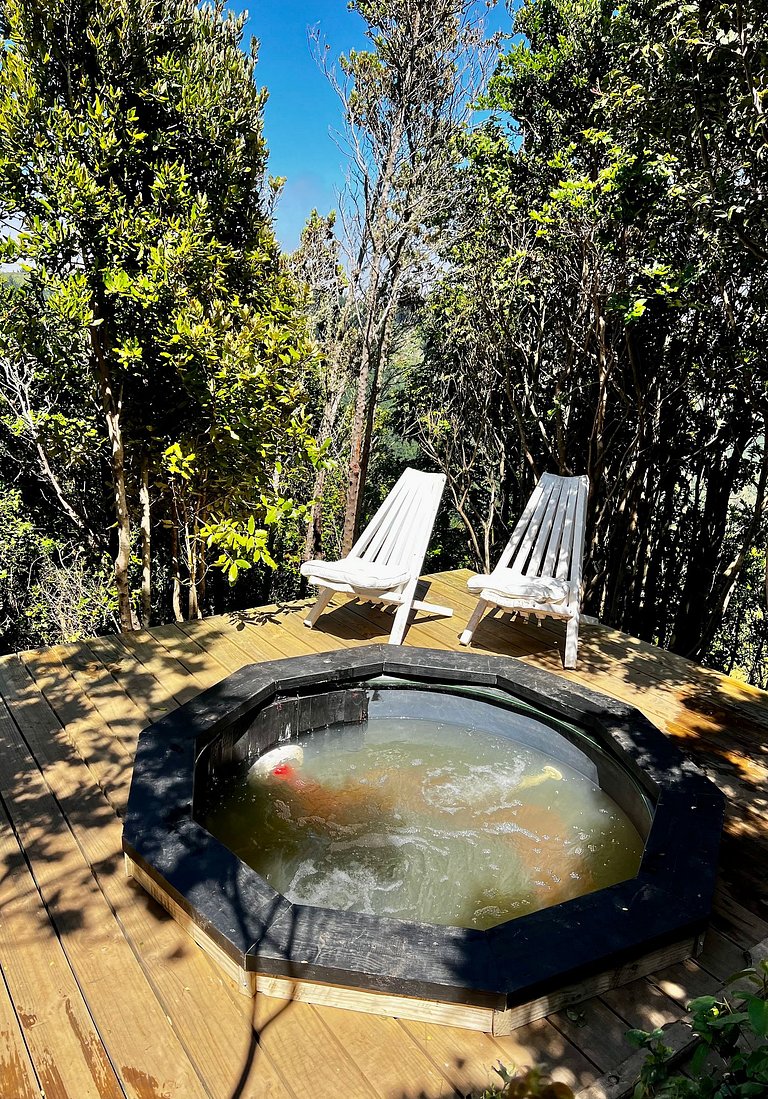 Forest Cabin, Incredible Views, Hot Tub, Starlink