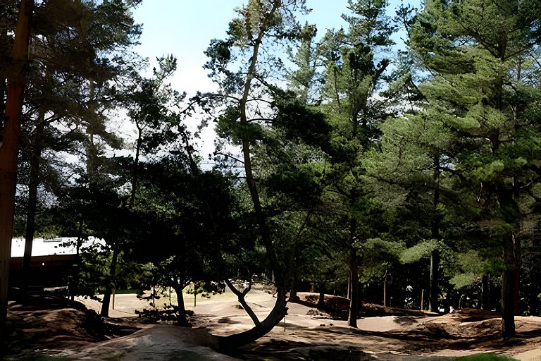 Cabañas del Cerro 4