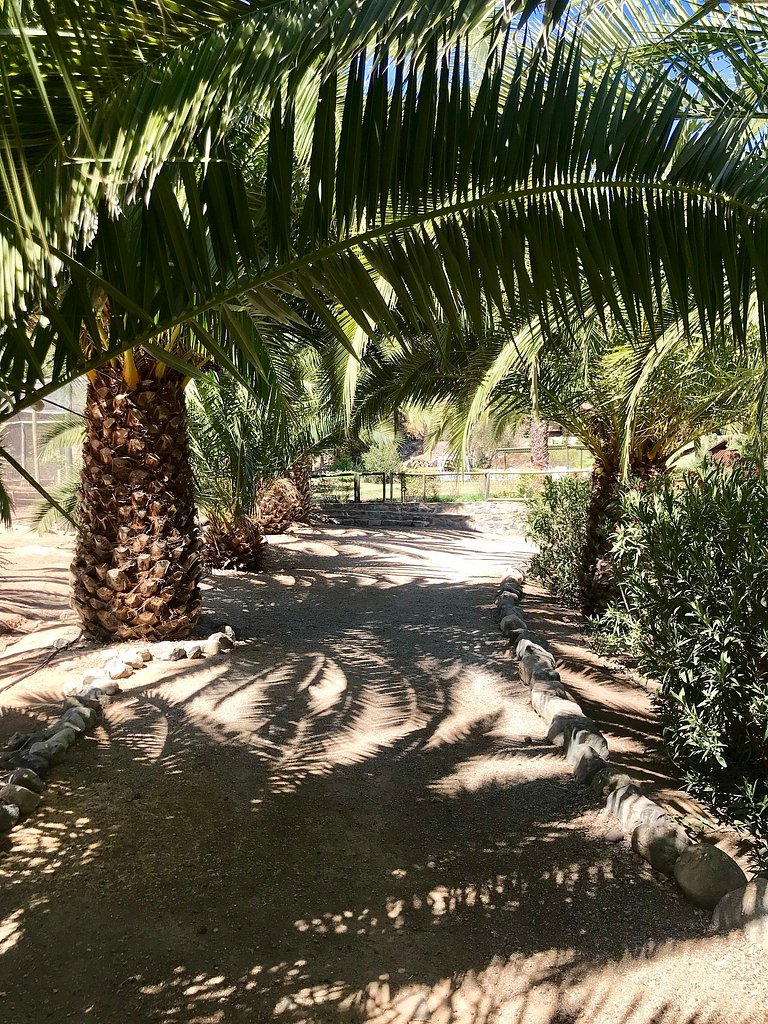 Casa de Campo con Piscina, Tinaja y Jardín