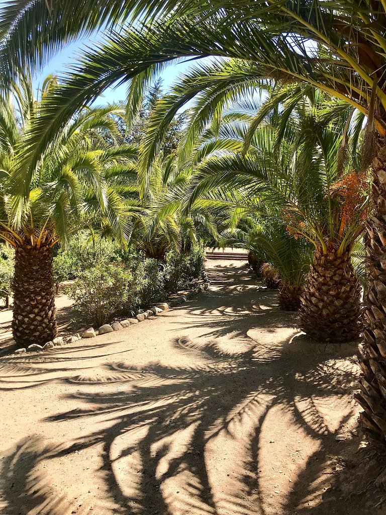 Casa de Campo con Piscina, Tinaja y Jardín