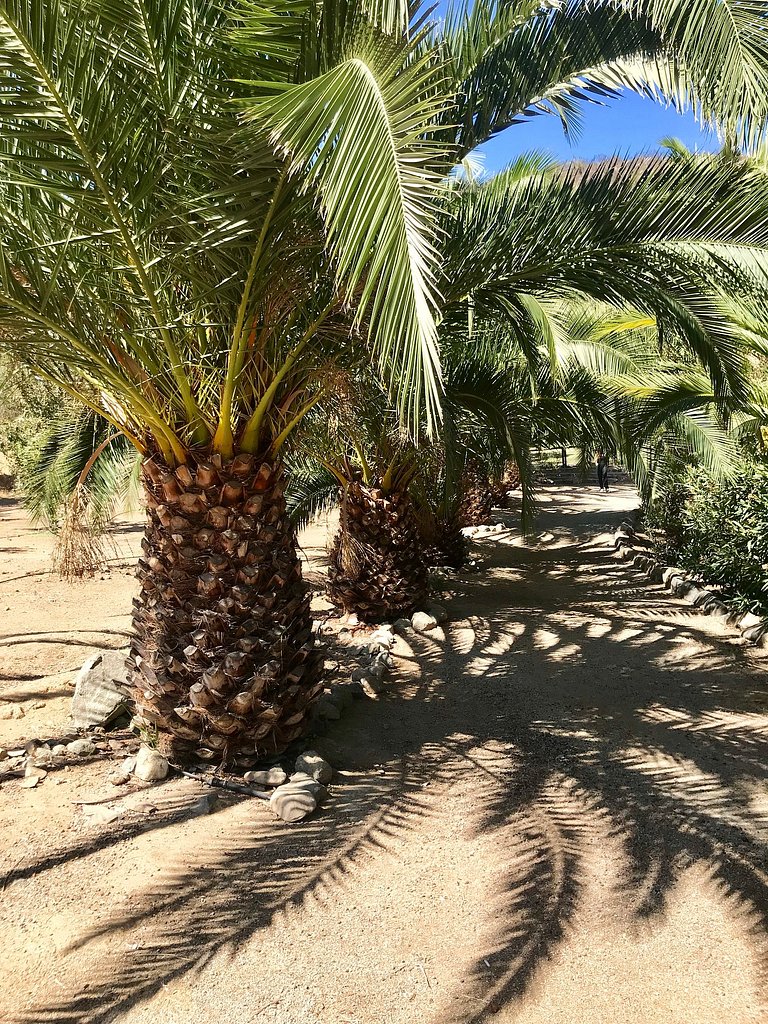 Casa de Campo con Piscina, Tinaja y Jardín