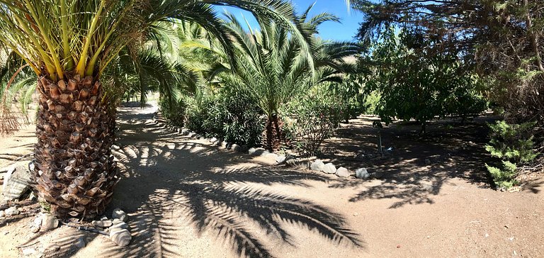 Casa de Campo con Piscina, Tinaja y Jardín