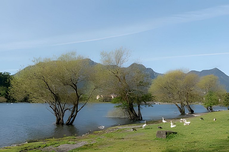 En Parque Pinares, descanso en el Lago.