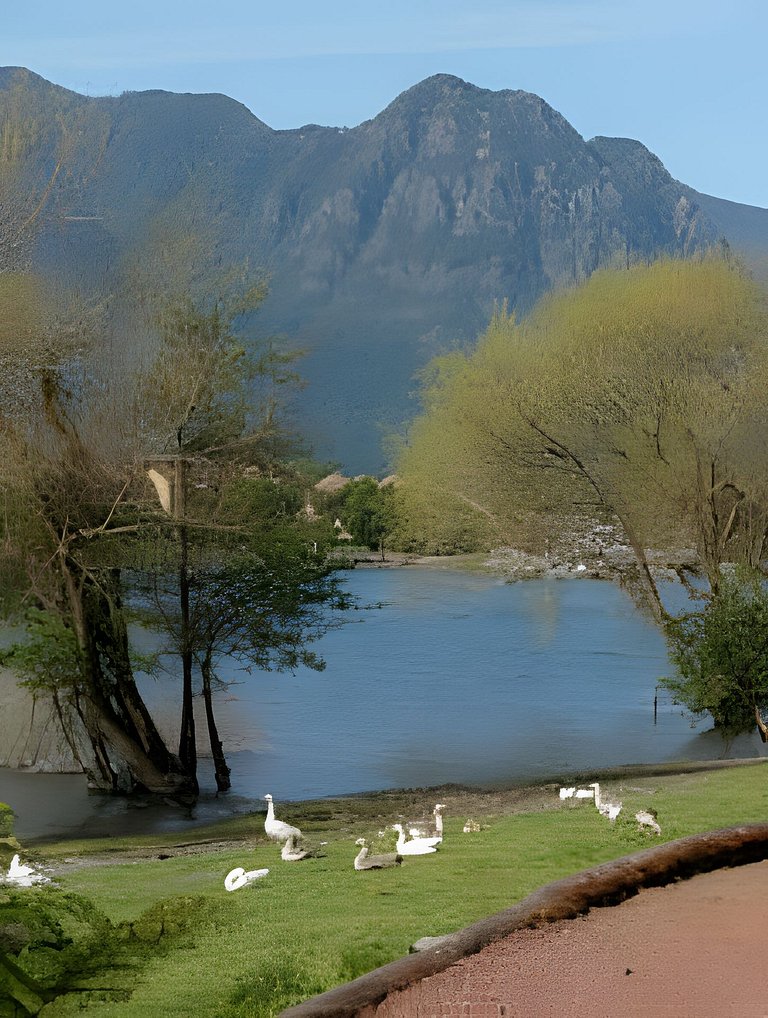 En Parque Pinares, descanso en el Lago.