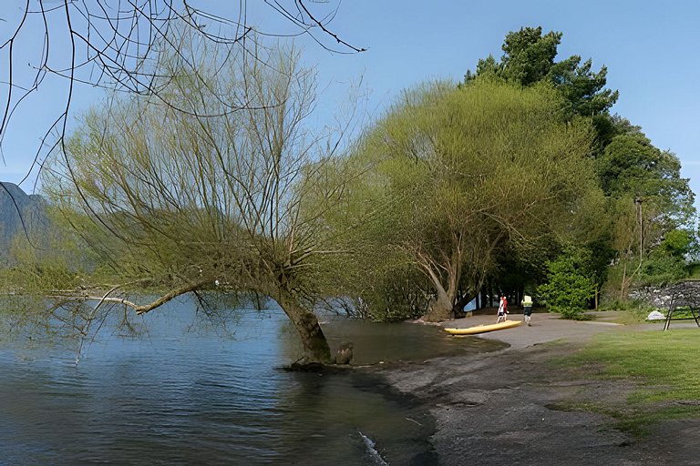 En Parque Pinares, descanso en el Lago.