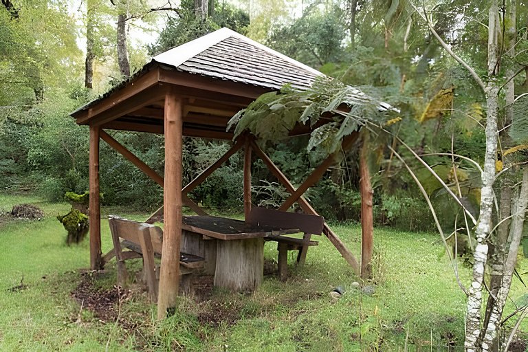 Casa de Ensueño entre Árboles Nativos