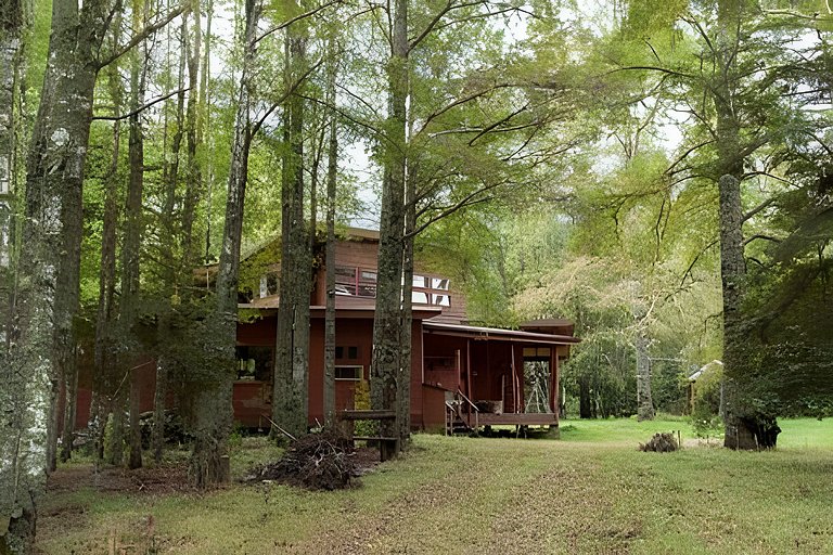 Casa de Ensueño entre Árboles Nativos